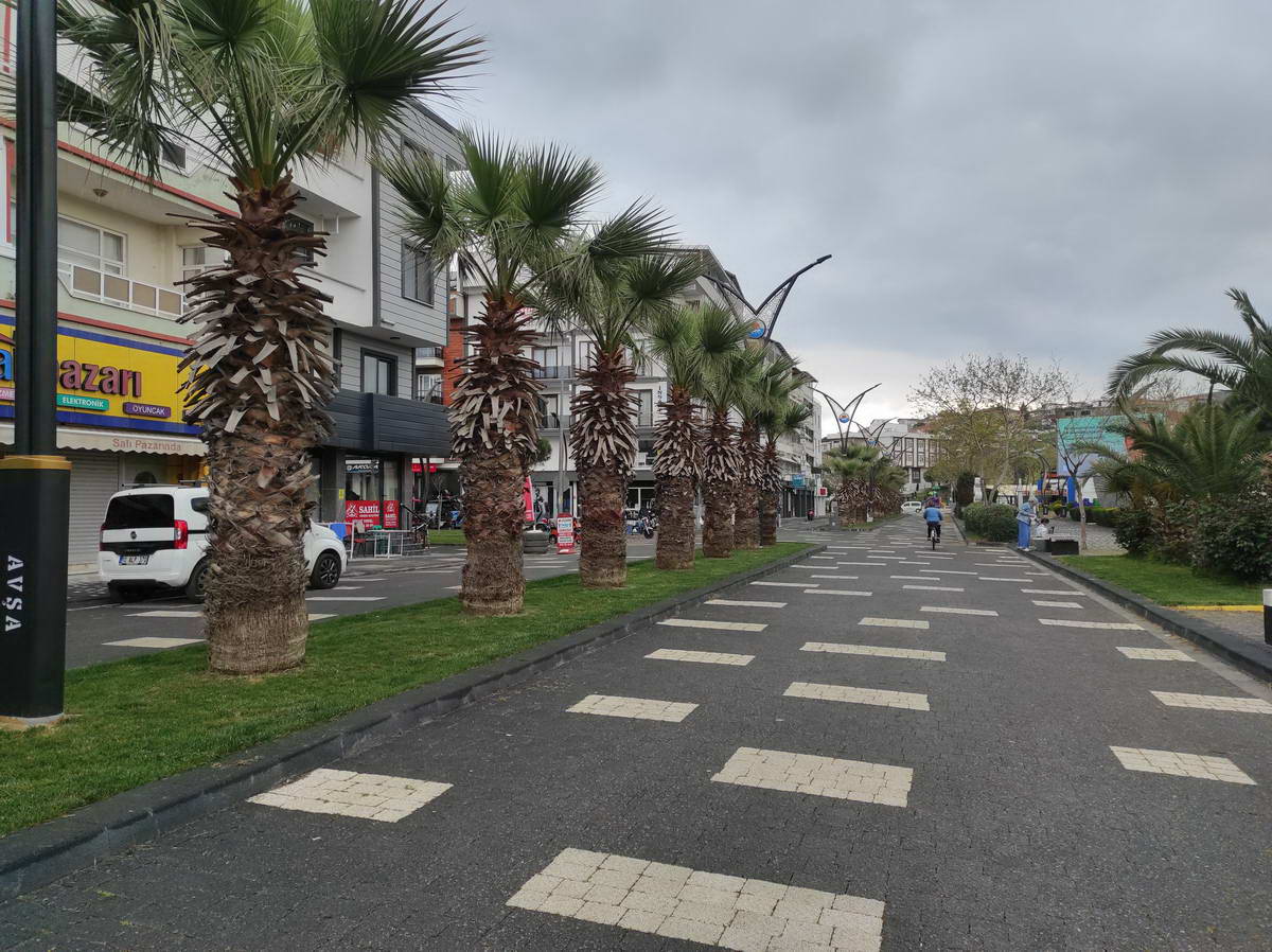 Avşa Belediye Caddesi